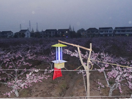 农庄环境
