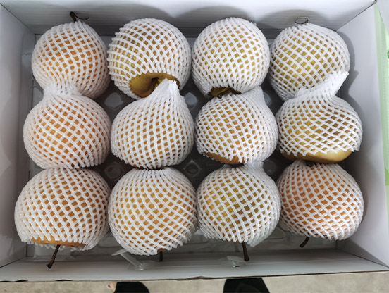 生态梨
