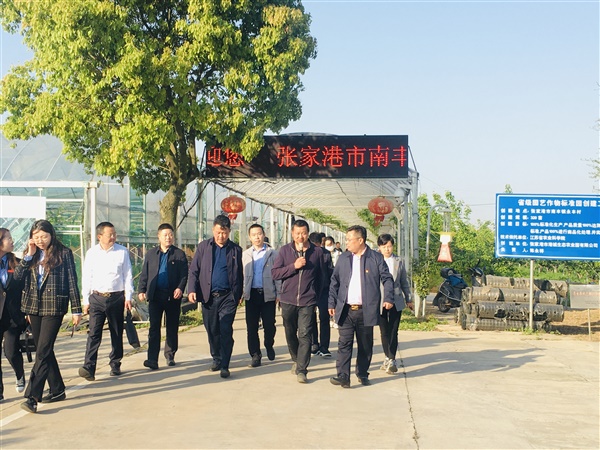 农庄环境