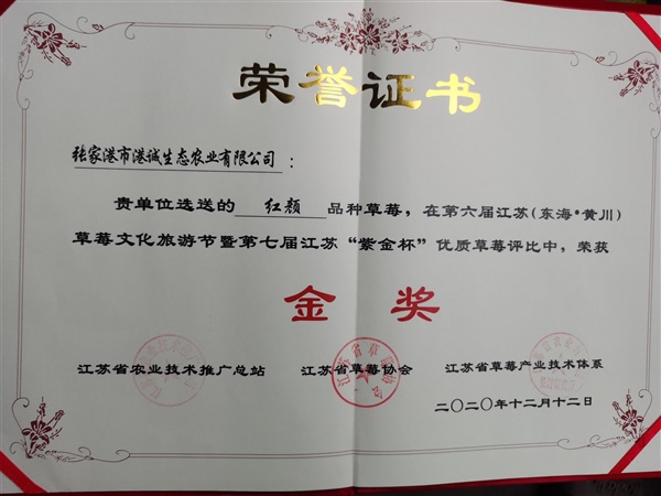 荣誉证书