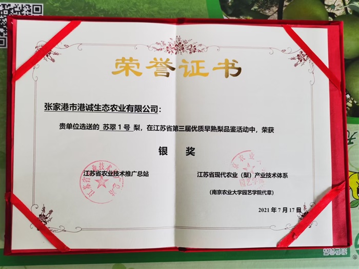 荣誉证书