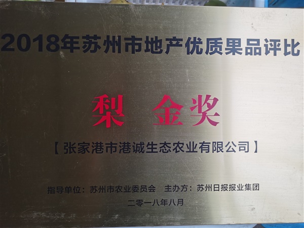 荣誉证书