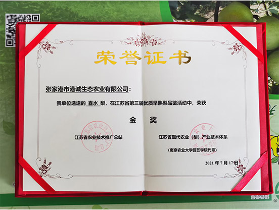 荣誉证书